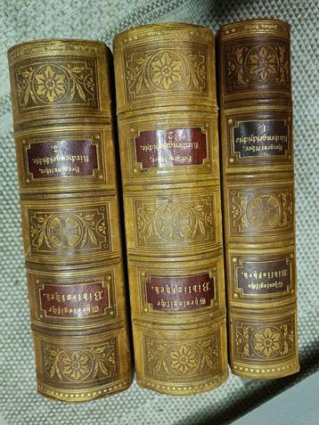 Boek Theologische Bibliothek. Kirchengeschichte. 3  beschikbaar voor biedingen