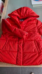 Winterjas, JBC, maat 146, NIEUW, Ophalen of Verzenden, Nieuw