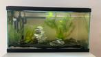 Aqurium full complet, Dieren en Toebehoren, Vissen | Aquaria en Toebehoren, Ophalen, Zo goed als nieuw