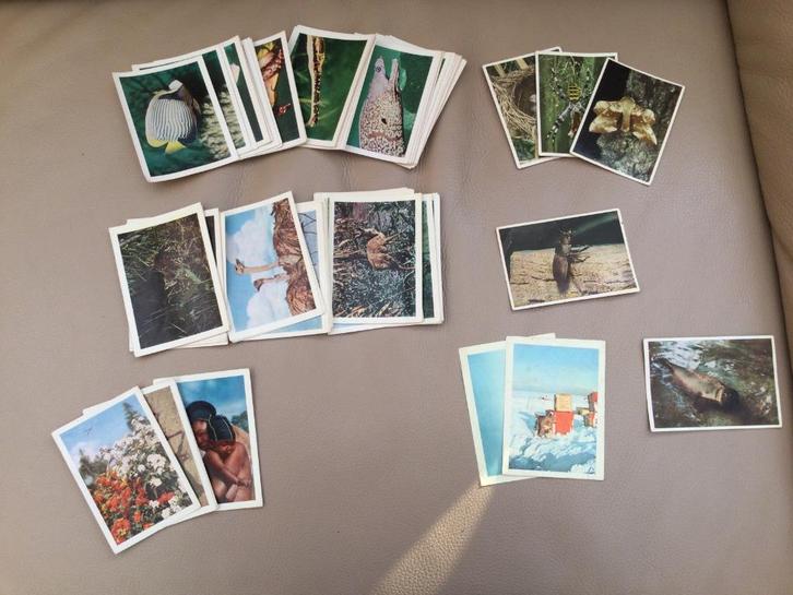 Grote chromo's van Côte d'Or, Verzamelen, Foto's en Prenten, Ophalen of Verzenden