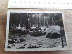 Foto wo2 vrijwillige begrafenissen Waals Oostfront, Verzamelen, Verzenden, Landmacht, Foto of Poster