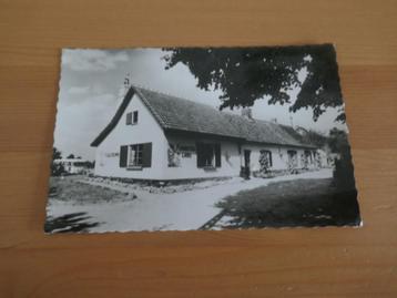 aarschot wolfsdonk kabouterland, Enlèvement ou Envoi, Affranchie, Brabant Flamand
