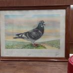 Peinture de pigeon, Antiquités & Art, Enlèvement ou Envoi