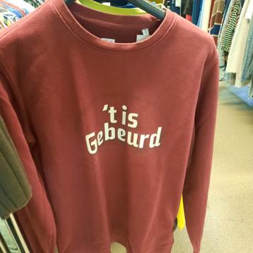 Trui van VT4 , de slimste mens ter wereld . SMALL  beschikbaar voor biedingen