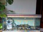 aquarium 120 x 40 x 55 cm merk aquatlantis, Dieren en Toebehoren, Ophalen, Gebruikt, Leeg aquarium