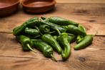 Padron | Peper Planten | Laatste stuks, Tuin en Terras, Ophalen