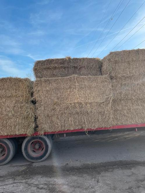 Hooi 1ste snede 2024 vierkante pakken, Dieren en Toebehoren, Dierenvoeding, Ophalen