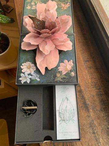 Tomorrowland 2024 case beschikbaar voor biedingen