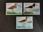 Îles Féroé/Foroyar 1977 - oiseaux, Timbres & Monnaies, Timbres | Europe | Scandinavie, Danemark, Affranchi, Enlèvement ou Envoi