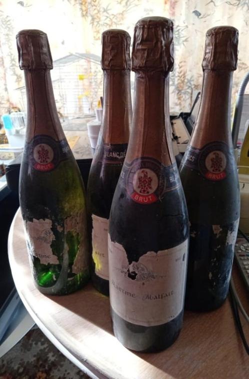 11 flessen champagne brut martine malfait, Verzamelen, Wijnen, Champagne, Vol, Ophalen of Verzenden