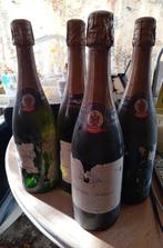 11 flessen champagne brut martine malfait, Ophalen of Verzenden, Champagne, Vol