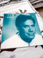 Rob de nijs  zilver, Cd's en Dvd's, Vinyl | Nederlandstalig, Ophalen of Verzenden, Zo goed als nieuw