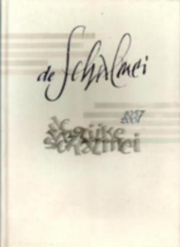 Livre Histoire de la musique de Turnhout De Wezel, Enlèvement ou Envoi