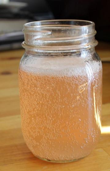 WaterKefir Champagne z.alcoh. kefir probiotica kefirkorrels beschikbaar voor biedingen