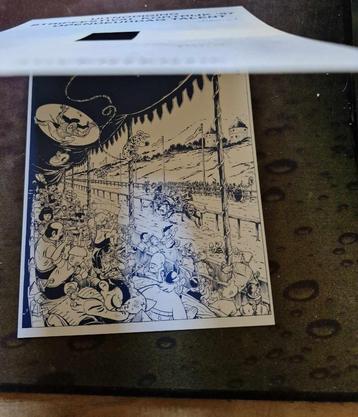 Marsupilami Robbedoes  Kiekeboe  Asterix  curiosa beschikbaar voor biedingen