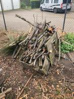 Brandhout gratis, Tuin en Terras, Brandhout, Ophalen