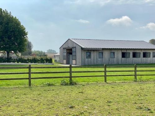 Privéstal te Pepingen, Dieren en Toebehoren, Stalling en Weidegang, Stalling, Weidegang, 1 paard of pony