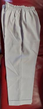 Pantacourt dame gris clair élastique 46, Vêtements | Femmes, Culottes & Pantalons, Enlèvement ou Envoi, Comme neuf, Gris