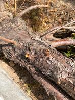 GRATIS brandhout / bomen hout / takken, Ophalen, Stammen
