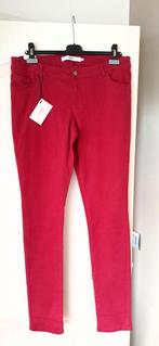 Nieuwe broek kleur framboos, Nieuw, Ophalen of Verzenden, Roze, Maat 46/48 (XL) of groter