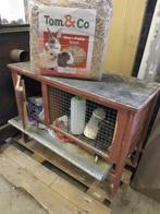 Hok + konijnenkooi en accessoires €80, Dieren en Toebehoren, Ophalen, Gebruikt, Ren, Konijn