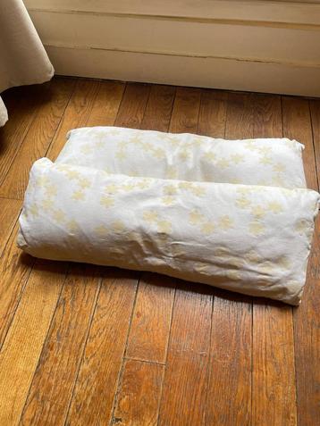 2 Coussins rectangulaires avec taies beschikbaar voor biedingen
