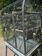 Grote kooi papegaaien parkieten, Dieren en Toebehoren, Vogels | Hokken en Kooien, Ophalen, Zo goed als nieuw