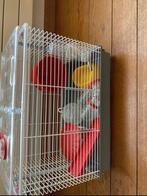 Dwerghamsterkooi, Kooi, Gebruikt, Minder dan 75 cm, Hamster