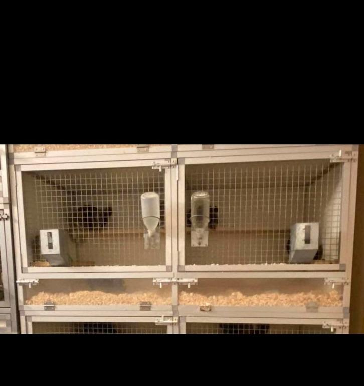 Chinchilla hok/kooi, Dieren en Toebehoren, Knaagdieren en Konijnen | Hokken en Kooien, Gebruikt, Hok, Chinchilla, Ophalen
