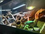 Terrarium, Ophalen