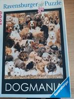 Puzzel Ravensburger 1000 stukjes, Ophalen