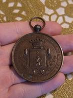 Oude medaille uit 1886, Ophalen of Verzenden