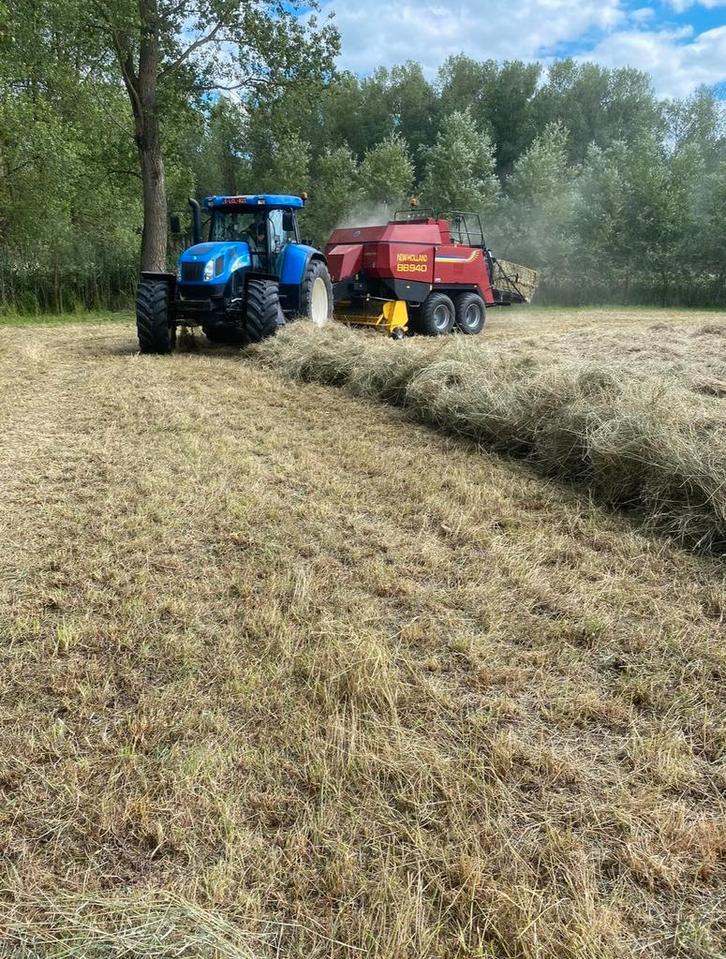 Midibalen mais,hooi, grote en kleine balen, Dieren en Toebehoren, Stalling en Weidegang
