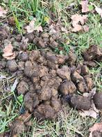 Gratis gezonde paardenmest, Ophalen