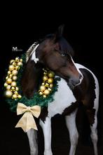 Kerstkrans voor paarden te koop, Dieren en Toebehoren, Ophalen of Verzenden, Nieuw, Overige soorten