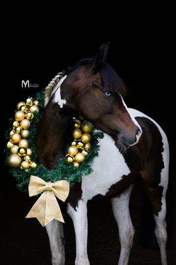 Kerstkrans voor paarden te koop beschikbaar voor biedingen