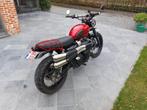 triumph street scrambler, Motoren, Particulier