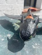 tandloos how to tame a dragon hoe tem je een draak toothless, Enlèvement ou Envoi, Utilisé