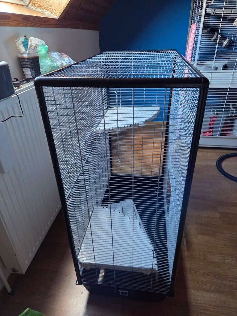 Kooi te koop, Ophalen