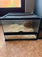 exo terra 45/45/30, Ophalen, Gebruikt