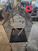 Grote vogelkooi nieuwprijs 73€, Dieren en Toebehoren, Vogels | Hokken en Kooien, Ophalen, Vogelkooi