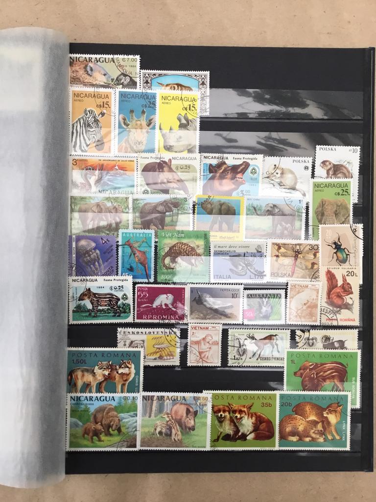 Album avec timbres, animaux et divers, Timbres & Monnaies, Enlèvement ou Envoi