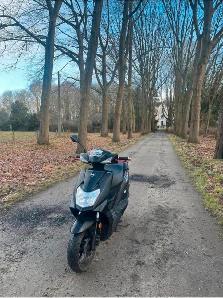 Sym Orbit 3 50 cc, Vélos & Vélomoteurs, Scooters | Yamaha, Comme neuf, Autres modèles, Classe A (25 km/h), Essence, Enlèvement ou Envoi