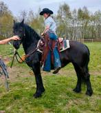 Zadelmak maken, doorrijden etc, Animaux & Accessoires, Débourré