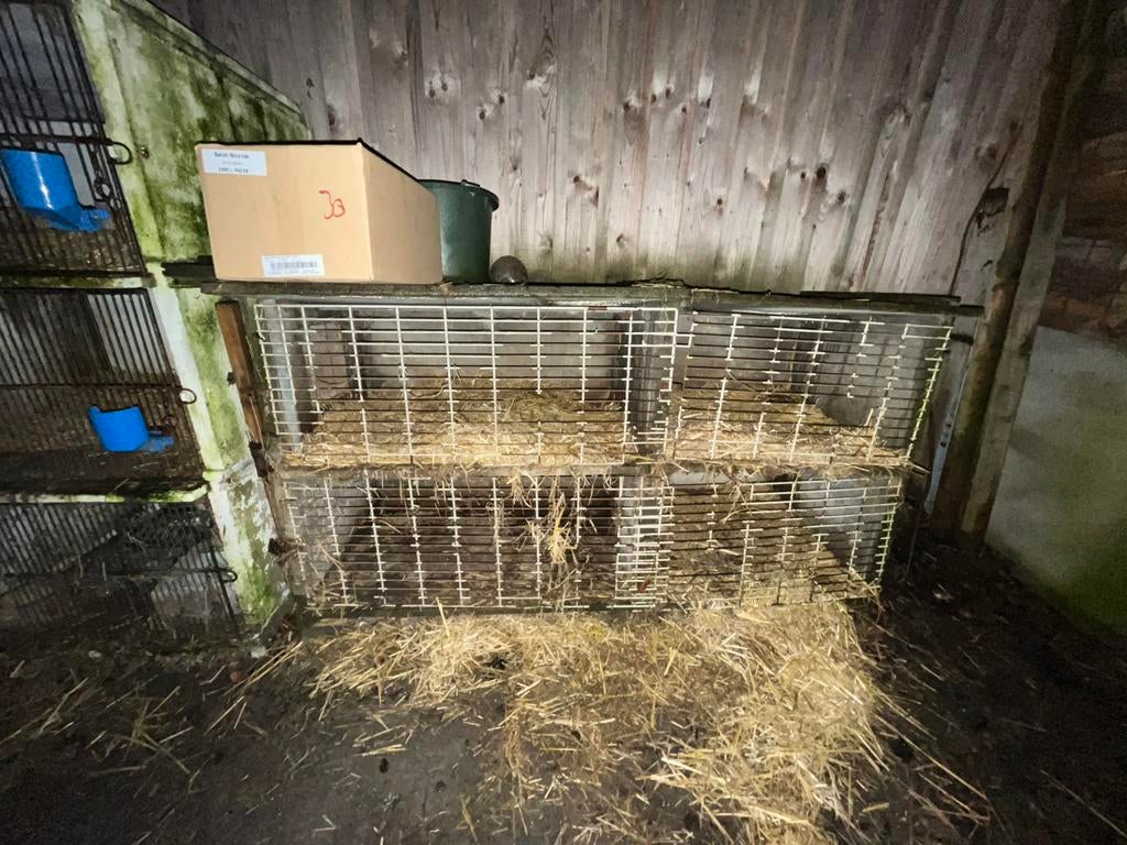 Clapier en béton, Cage, Enlèvement, Utilisé, 110 cm ou plus