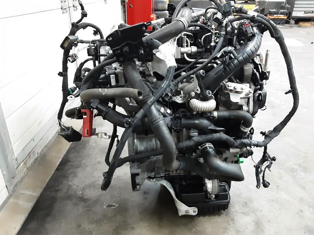 MOTOR Ford Transit Connect (PJ2) (01-2013/-) (Z2GA), Auto-onderdelen, Gebruikt, Mevr. I. Hauben, Ford, Rue de l'Espoir 34 34
4030  GRIVEGNÉE, BE