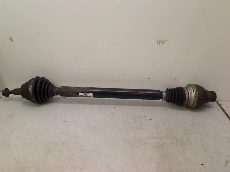 ARBRE DE TRANSMISSION / CARDAN DROIT TRANSMISSION (1K0407272, Autos : Pièces & Accessoires, Utilisé, De Bloemendaal 21 21
5221 EB  'S HERTOGENBOSCH, NL