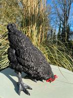 Beeld kip, tuin, vijver, gazon, boerderij 35cm, Tuin en Terras, Ophalen, Nieuw, Kunststof, Dierenbeeld