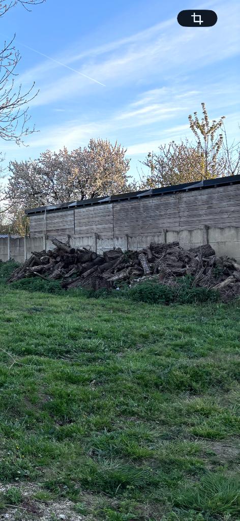Bois de chauffage à donner, Jardin & Terrasse, Bois de chauffage, Enlèvement, Autres essences de bois, Troncs d'arbres