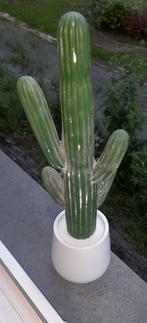 Cactus décoration d'intérieur 41cm new à saisir ️️️️️️️️️↙️, Enlèvement, Neuf, Intérieur